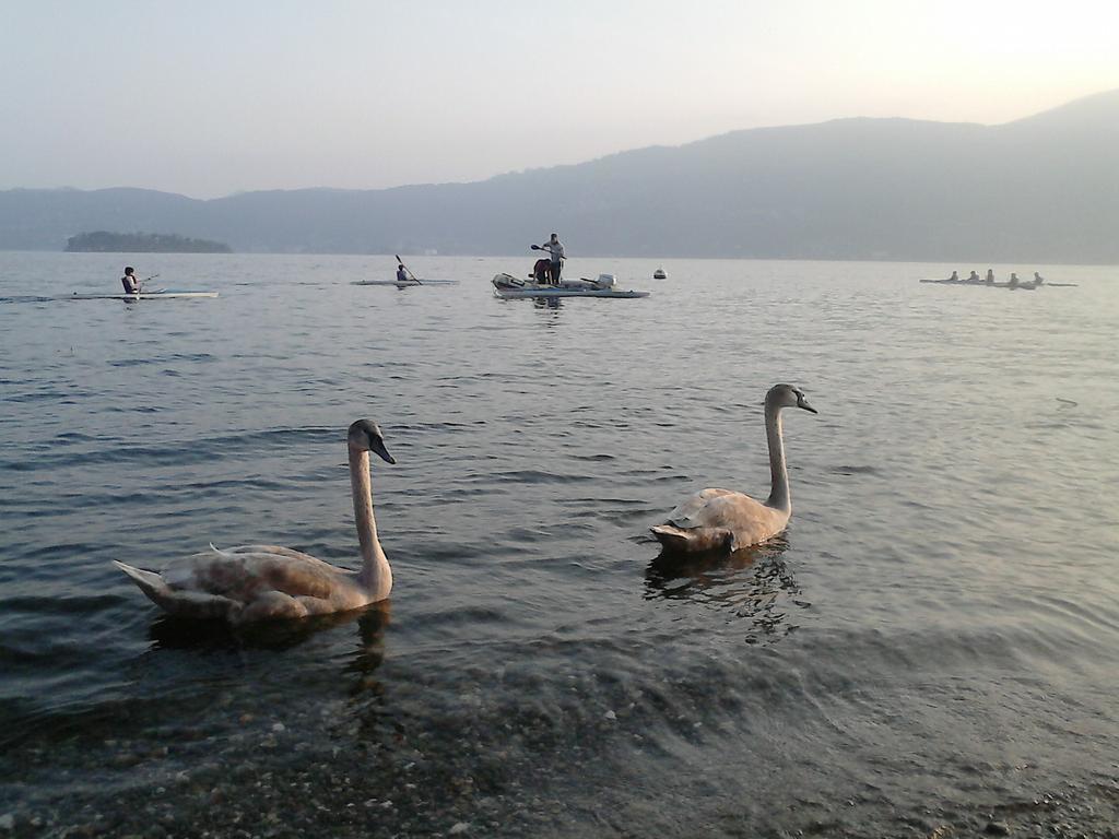 B&B Il Castello Lago Maggiore Con Terrazza Cossogno Luaran gambar